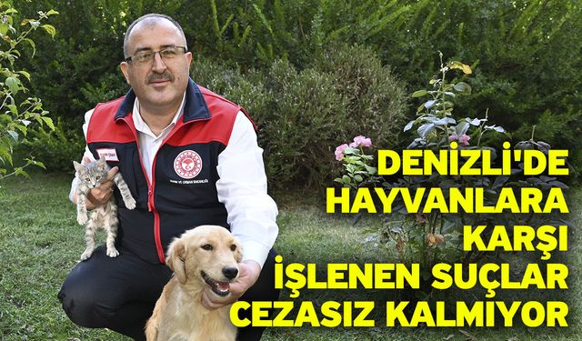 Denizli'de hayvanlara karşı işlenen suçlar cezasız kalmıyor