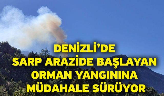 Denizli’de sarp arazide başlayan orman yangınına müdahale sürüyor