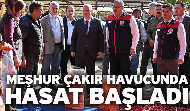 Acıpayam’ın Lezzeti ile Meşhur Çakır Havucunda Hasat Başladı