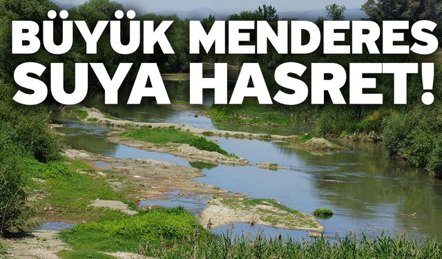 Büyük Menderes suya hasret!