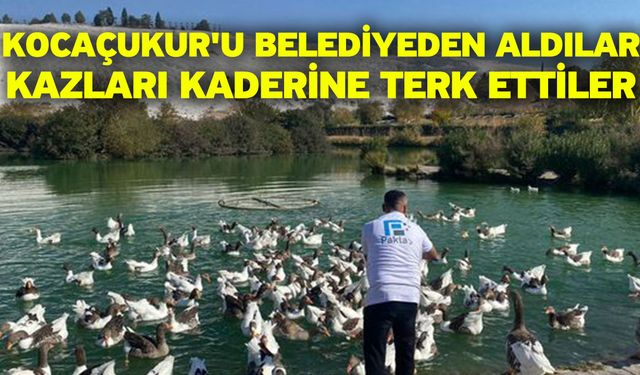 Kocaçukur'u belediyeden aldılar! Kazları kaderine terk ettiler