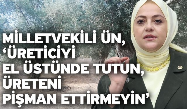 Milletvekili Ün, ‘Üreticiyi el üstünde tutun, üreteni pişman ettirmeyin’