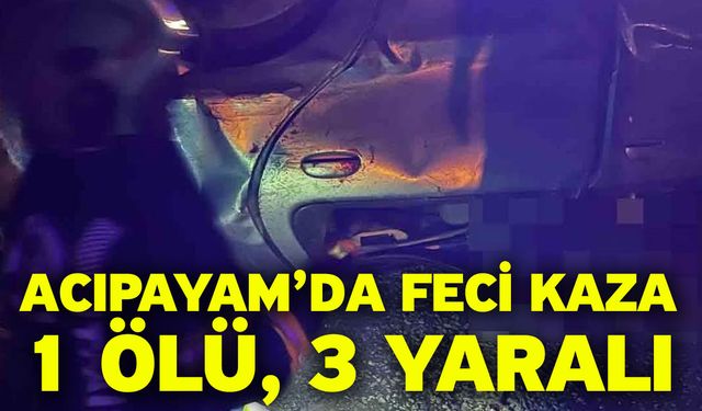 Kontrolden çıkan otomobil ağaca çarptıktan sonra şarampole devrildi; 1 ölü 3 yaralı