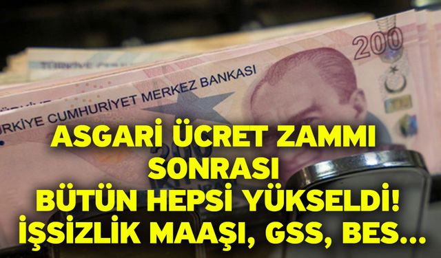 Asgari ücret zammı sonrası bütün hepsi yükseldi! İşsizlik maaşı, GSS, BES...