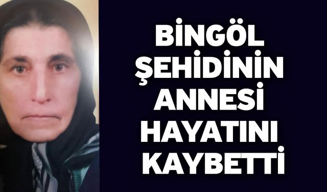 Bingöl şehidinin annesi hayatını kaybetti