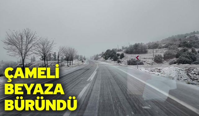 Çameli Beyaza Büründü