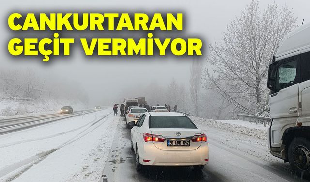 Cankurtaran geçit vermiyor