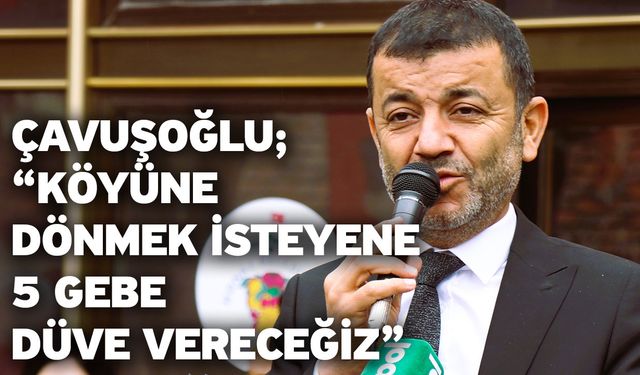 Çavuşoğlu; “Köyüne dönmek isteyene 5 gebe düve vereceğiz”