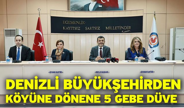 Denizli Büyükşehirden köyüne dönene 5 gebe düve