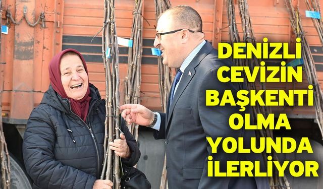 Denizli cevizin başkenti olma yolunda ilerliyor