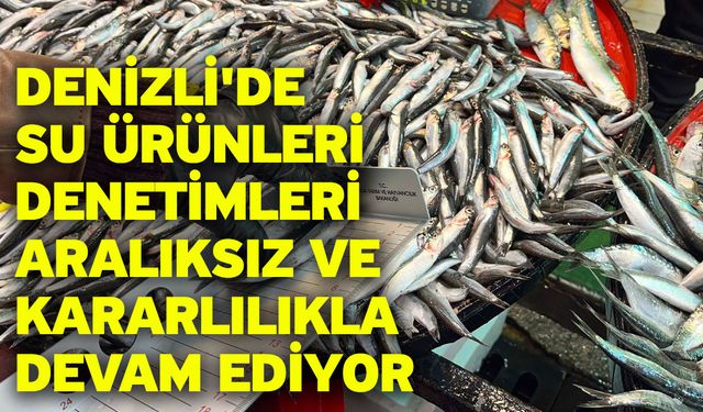 Denizli'de su ürünleri denetimleri aralıksız ve kararlılıkla devam ediyor