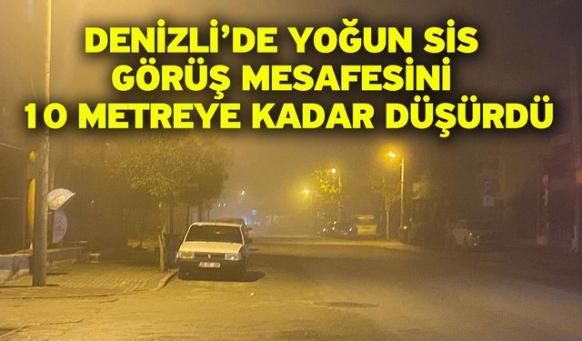 Denizli’de yoğun sis görüş mesafesini 10 metreye kadar düşürdü