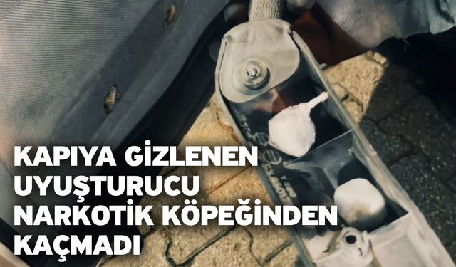 Kapıya gizlenen uyuşturucu narkotik köpeğinden kaçmadı