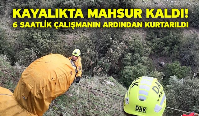 Kayalıkta mahsur kaldı! 6 saatlik çalışmanın ardından kurtarıldı