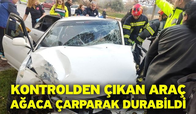 Kontrolden çıkan araç ağaca çarparak durabildi