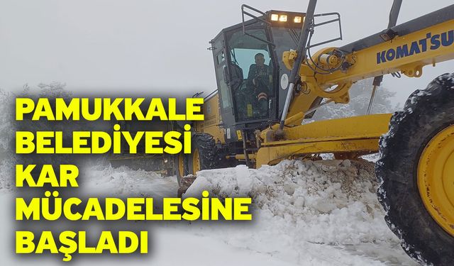 Pamukkale Belediyesi Kar Mücadelesine Başladı