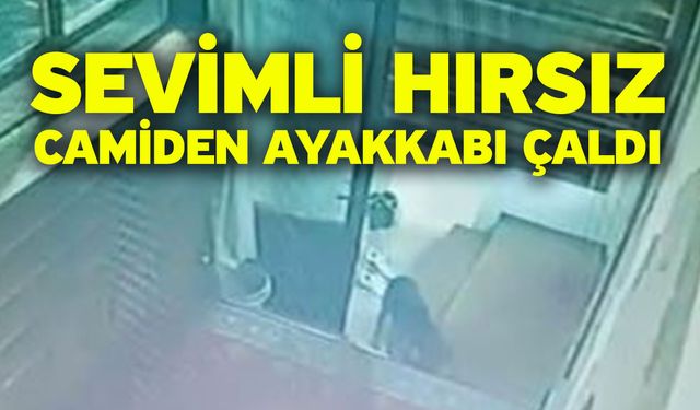 Sevimli hırsız camiden ayakkabı çaldı