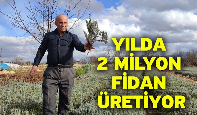 Yılda 2 milyon fidan üretiyor