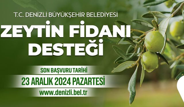 Zeytin fidanı desteği başvuru süresi uzatıldı