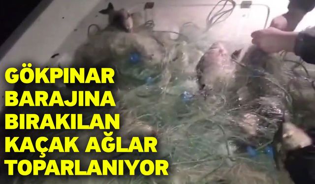 Gökpınar Barajına bırakılan kaçak ağlar toparlanıyor