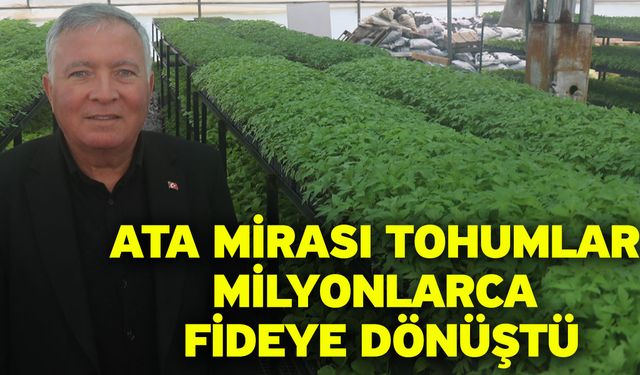 Ata mirası tohumlar milyonlarca fideye dönüştü