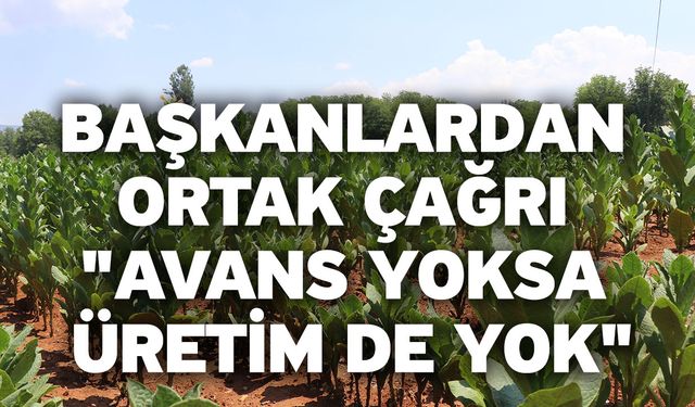 Başkanlardan tütün firmalarına ortak çağrı "Avans yoksa üretim de yok"