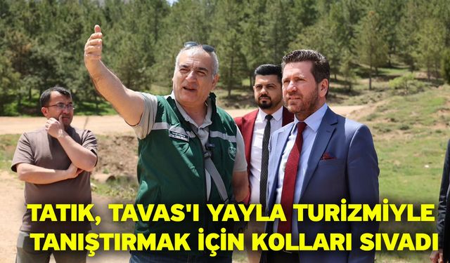 Tatık, Tavas'ı yayla turizmiyle tanıştırmak için kolları sıvadı