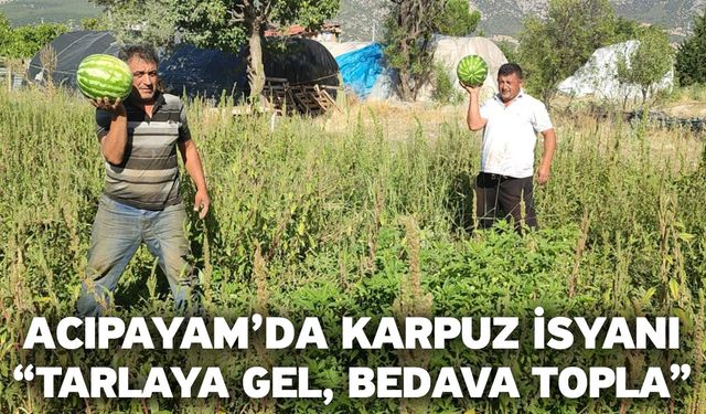 Acıpayam’da Karpuz İsyanı: “Tarlaya Gel, Bedava Topla”