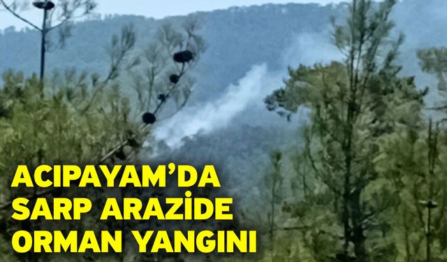 Acıpayam’da Sarp Arazide Orman Yangını