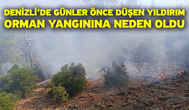 Denizli’de günler önce düşen yıldırım orman yangınına neden oldu