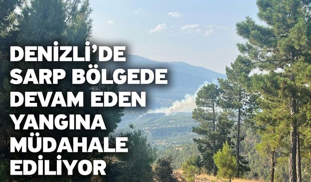 Denizli’de sarp bölgede devam eden yangına müdahale ediliyor