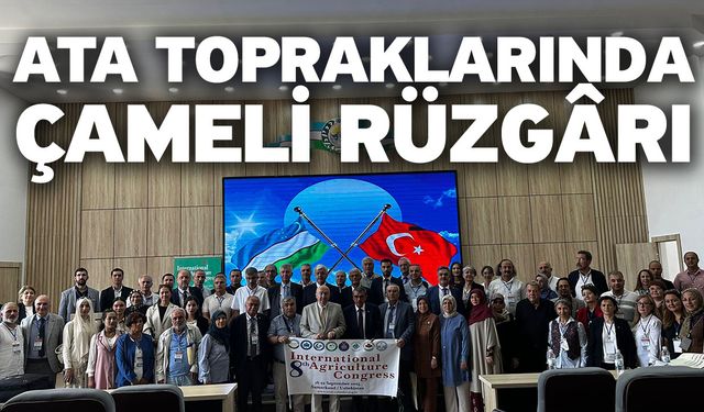 Ata Topraklarında Çameli Rüzgârı