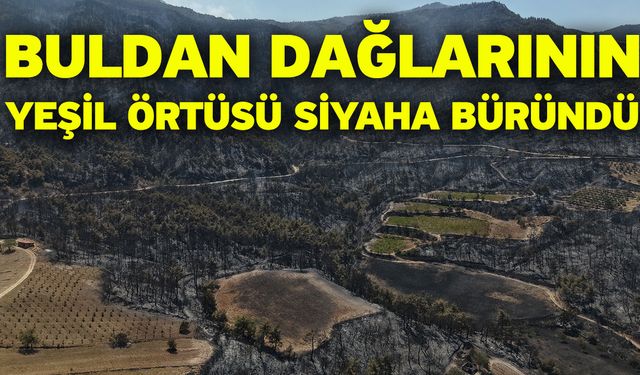 Buldan dağlarının yeşil örtüsü siyaha büründü