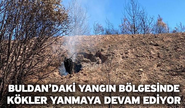 Buldan’daki yangın bölgesinde kökler yanmaya devam ediyor
