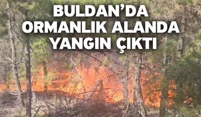 Buldan’da ormanlık alanda yangın çıktı