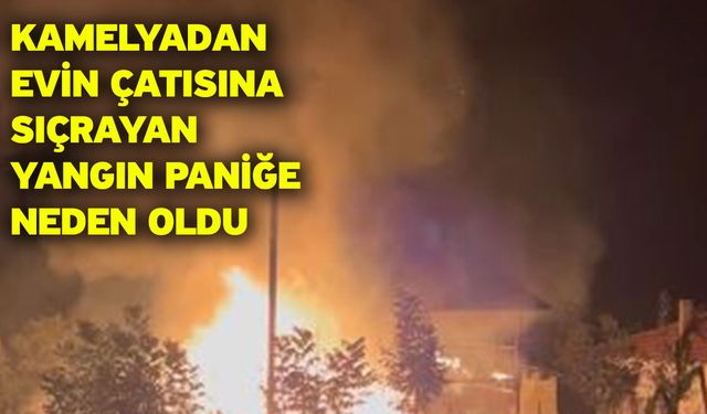 Kamelyadan evin çatısına sıçrayan yangın paniğe neden oldu