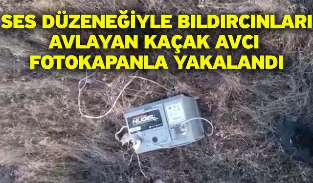 Ses düzeneğiyle bıldırcınları avlayan kaçak avcı fotokapanla yakalandı