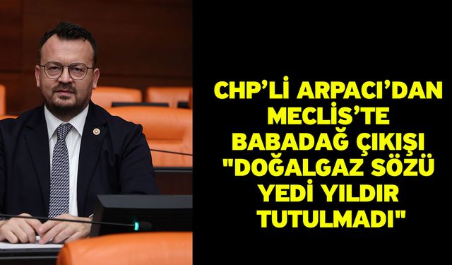 CHP’li Arpacı’dan Meclis’te Babadağ çıkışı: "Doğalgaz sözü yedi yıldır tutulmadı"