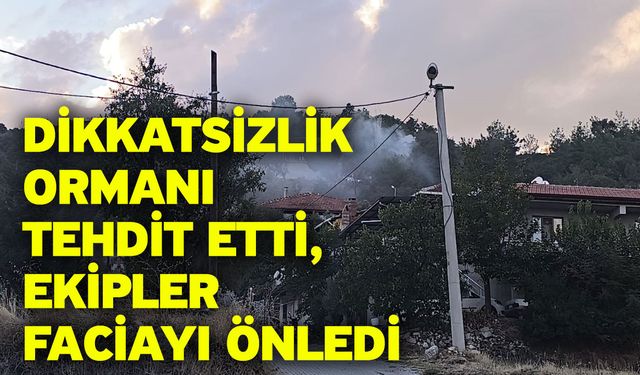 Dikkatsizlik ormanı tehdit etti, ekipler faciayı önledi