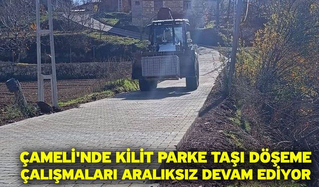 Çameli'nde kilit parke taşı döşeme çalışmaları aralıksız devam ediyor