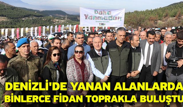 Denizli'de yanan alanlarda binlerce fidan toprakla buluştu