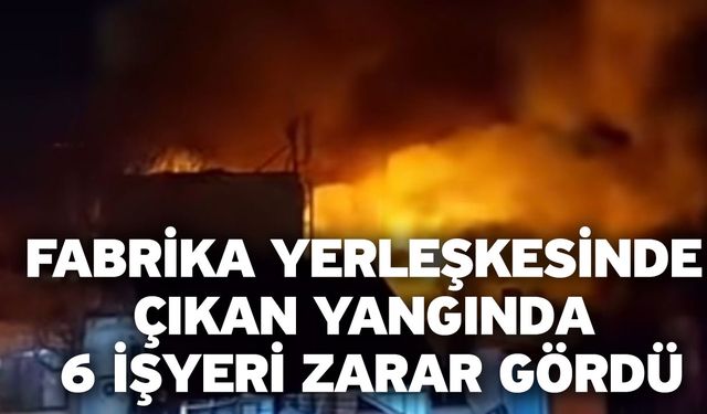 Fabrika yerleşkesinde çıkan yangında 6 işyeri zarar gördü