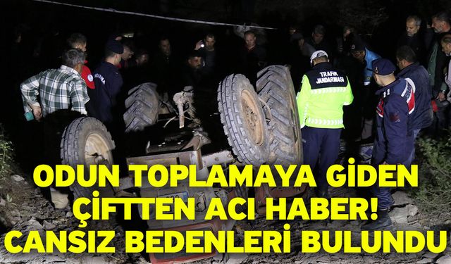 Odun Toplamaya Giden Çiftten Acı Haber! Cansız bedenleri bulundu
