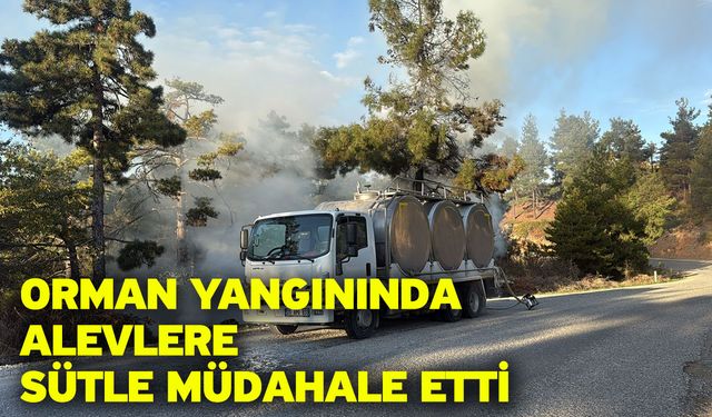 Orman yangınında alevlere sütle müdahale etti