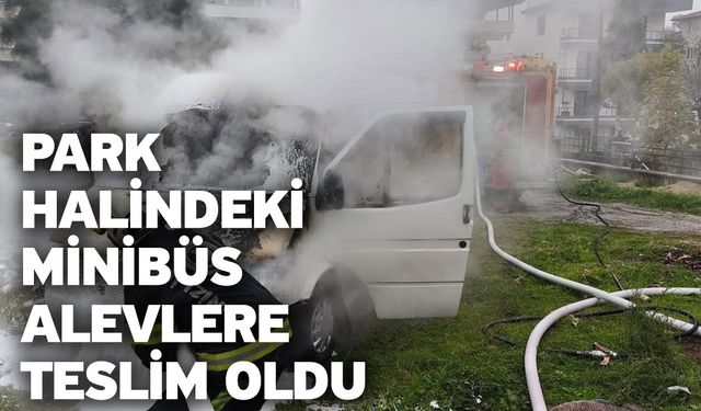Park halindeki minibüs alevlere teslim oldu