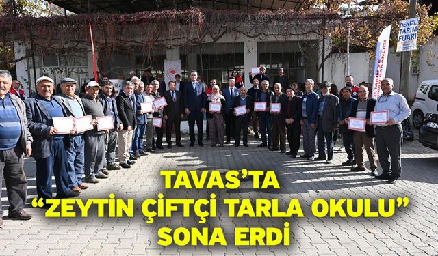 Tavas’ta “Zeytin Çiftçi Tarla Okulu” Sona Erdi