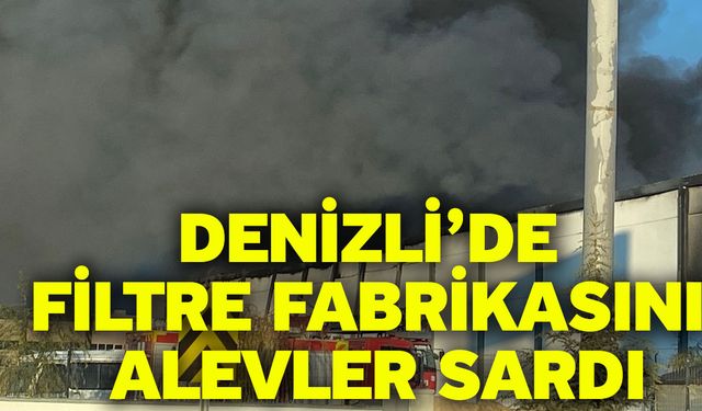 Denizli’de filtre fabrikasını alevler sardı
