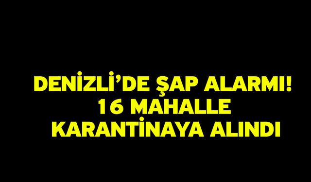 Denizli’de şap alarmı! 16 mahalle karantinaya alındı