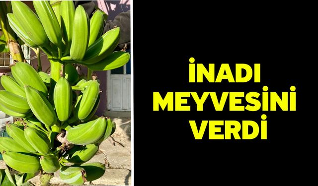 İnadı meyvesini verdi