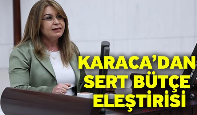 Karaca’dan Sert Bütçe Eleştirisi